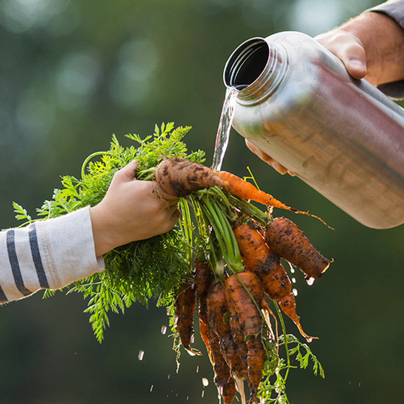 64oz-wide-with-loop-cap-v2 64oz_wide_mouth_bottle_carrots_rinse_square.jpg