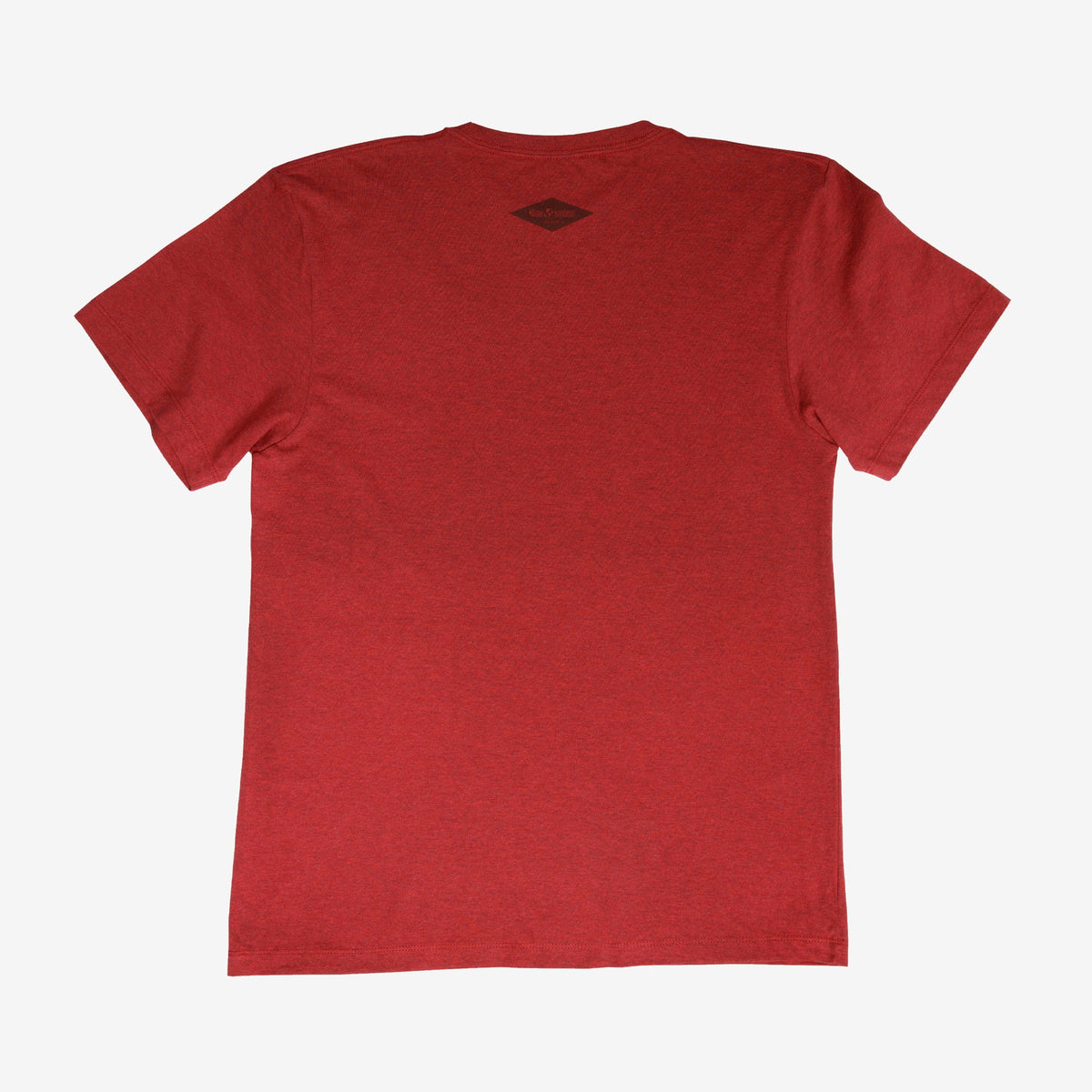backyard-t-shirt-m3 Shirt_Mtn_Back.jpg